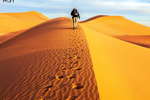 moroccan desert 6 days