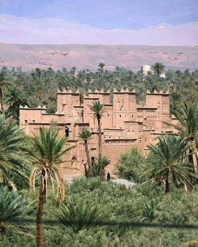 Marrakech to Zagora desert camel tour Morocco 2 days