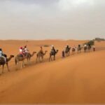 merzouga 3 night camel trek merzouga 8 days from Tangier